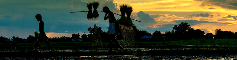 Consumer Goods - CSR banner