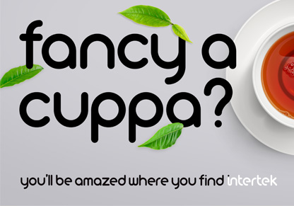 You'll Be Amazed highlights