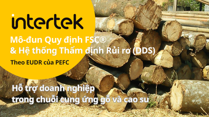 Intertek Thumbnail Modun FSC - DDS theo EUDR cua PEFC-220kb