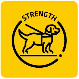 dau chung nhan do ben keo