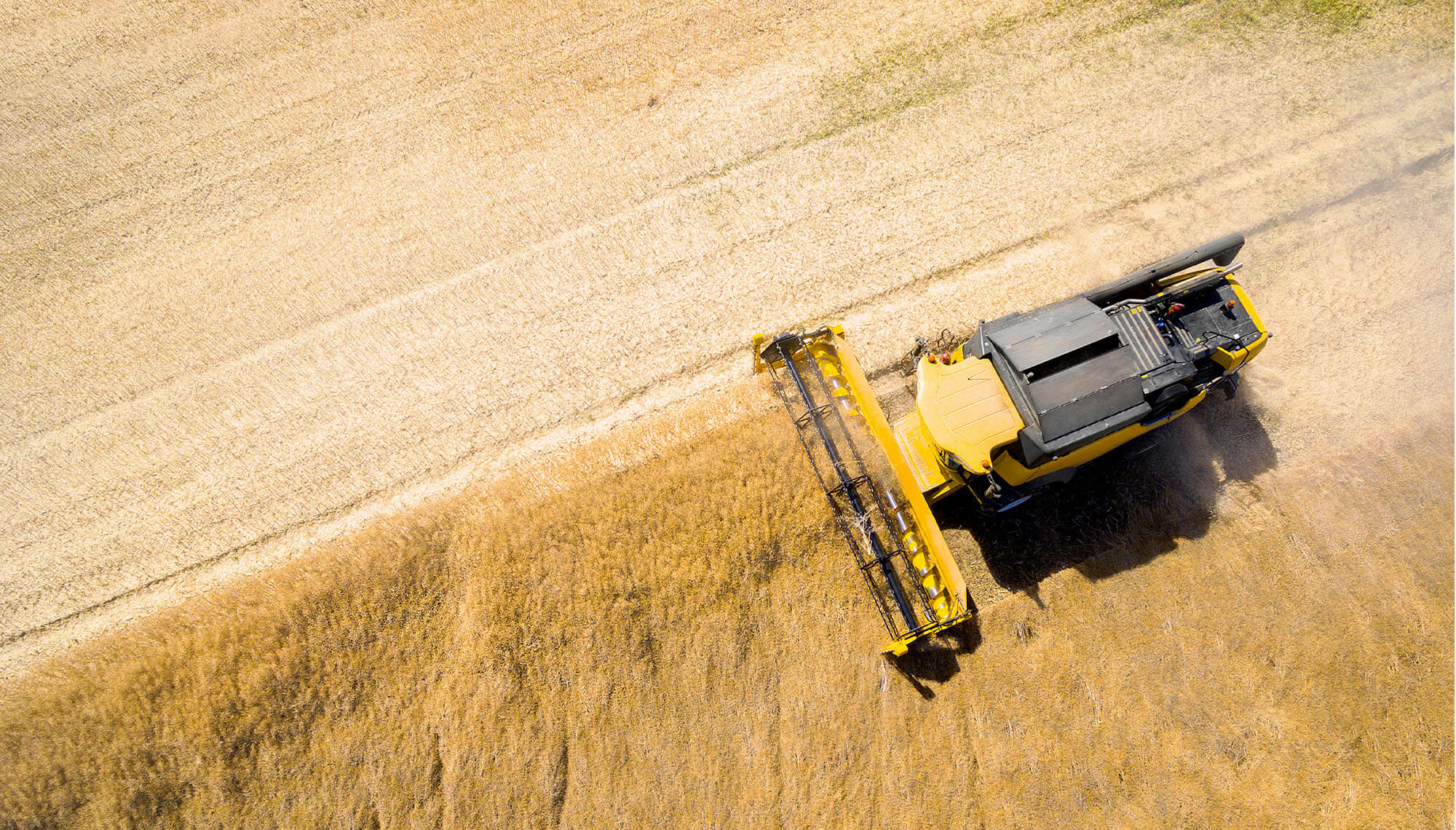 ESG agri header thumbnail