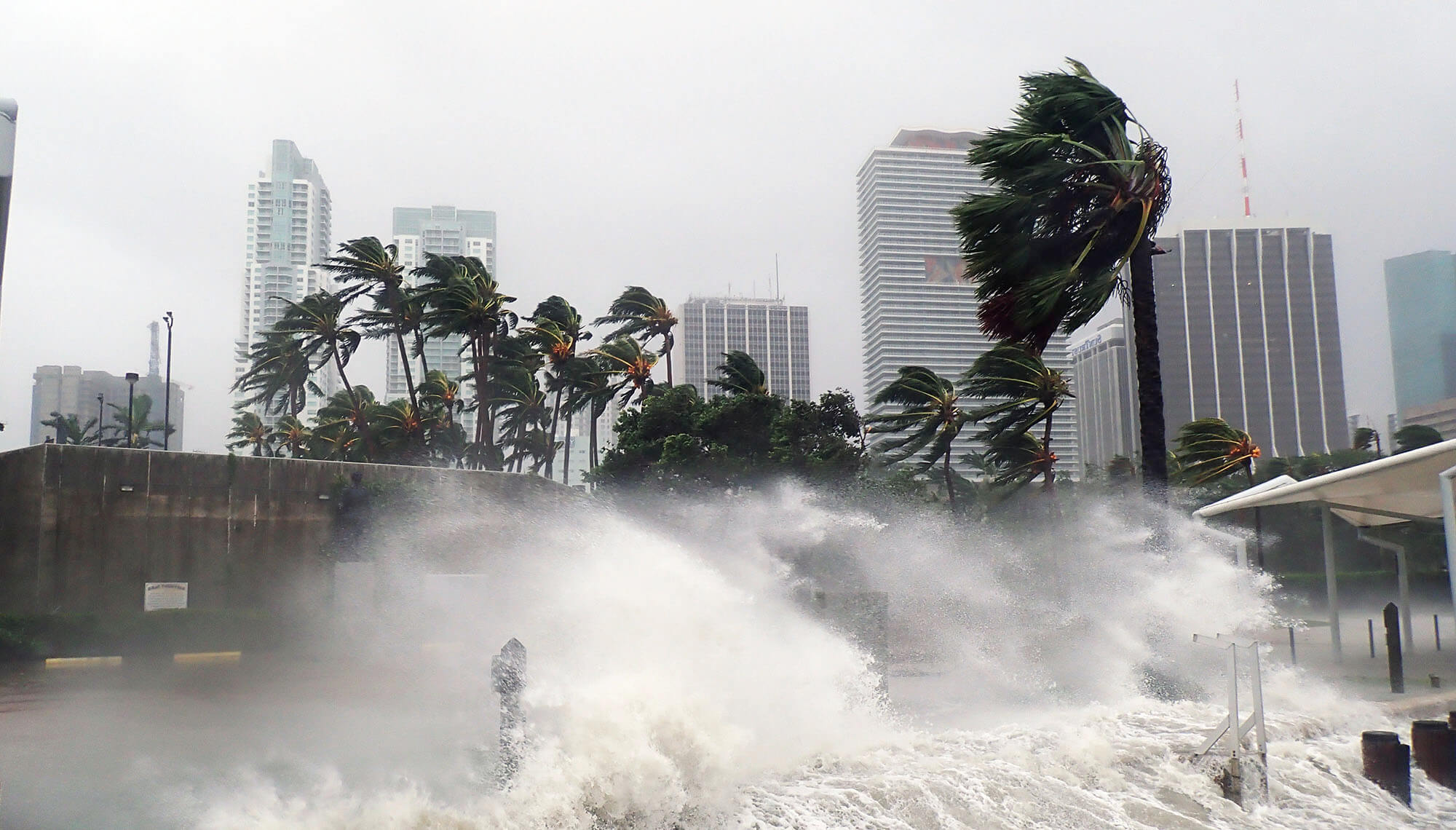 Vật liệu xây dựng chống bão